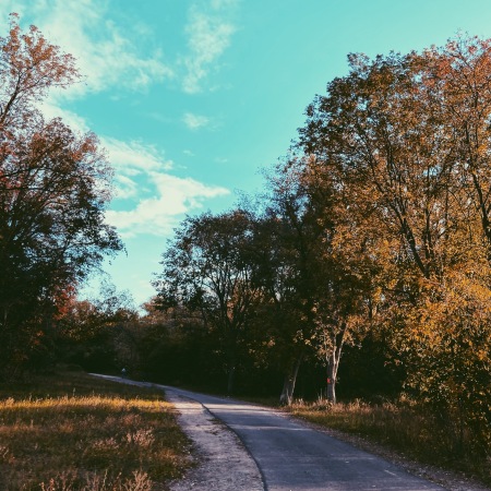 Autumn photography, Ontario Canada, Processed with VSCO with p5 preset